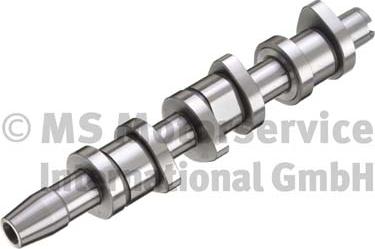 Kolbenschmidt 50006388 - Camshaft car-mod.net