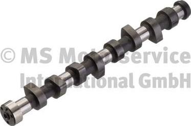 Kolbenschmidt 50006338 - Camshaft car-mod.net