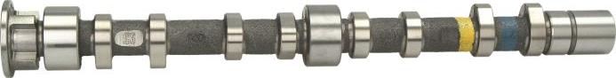 Kolbenschmidt 50007056 - Camshaft car-mod.net