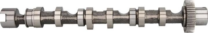 Kolbenschmidt 50007005 - Camshaft car-mod.net