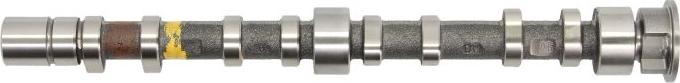 Kolbenschmidt 50007019 - Camshaft car-mod.net