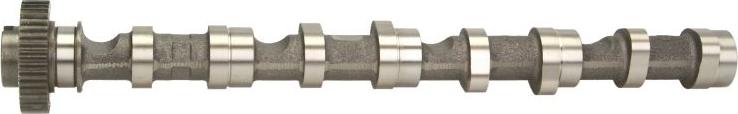 Kolbenschmidt 50007020 - Camshaft car-mod.net