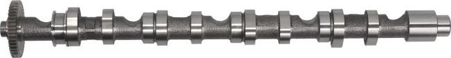 Kolbenschmidt 50007022 - Camshaft car-mod.net