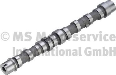 Kolbenschmidt 50007799 - Camshaft car-mod.net