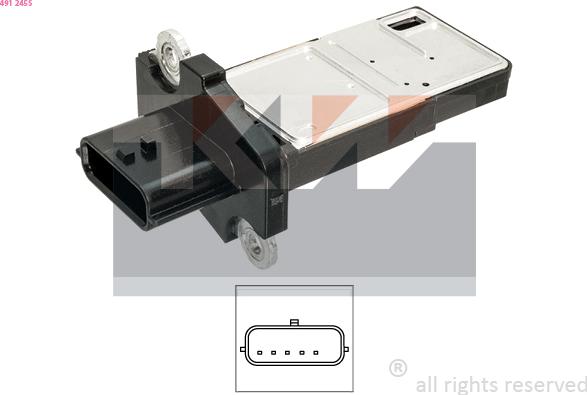 KW 491 245S - Air Mass Sensor car-mod.net