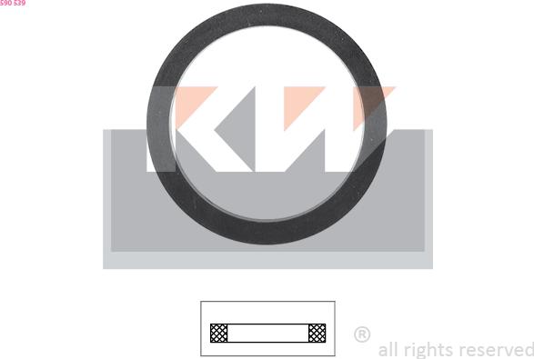 KW 590 539 - Gasket, thermostat car-mod.net