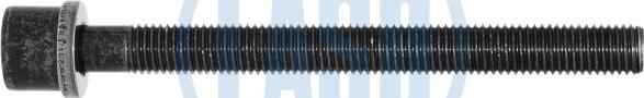 Laso 95017101 - Cylinder Head Bolt car-mod.net
