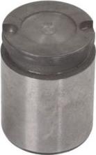Lauber CQ71364715 - Piston, brake caliper car-mod.net
