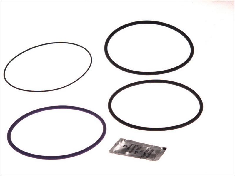 LEMA 8701509 - O-Ring Set, cylinder sleeve car-mod.net