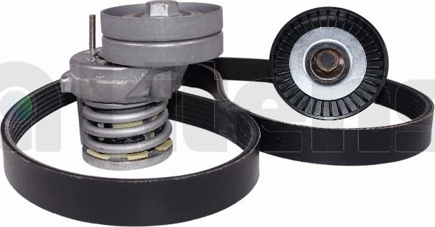 Litens LV950447A - V-Ribbed Belt Set car-mod.net