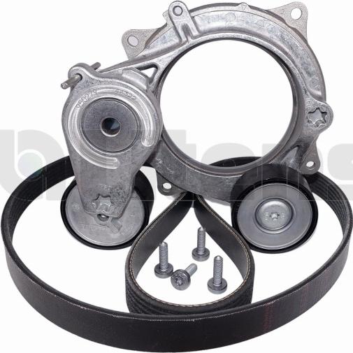 Litens LV950279B - V-Ribbed Belt Set car-mod.net