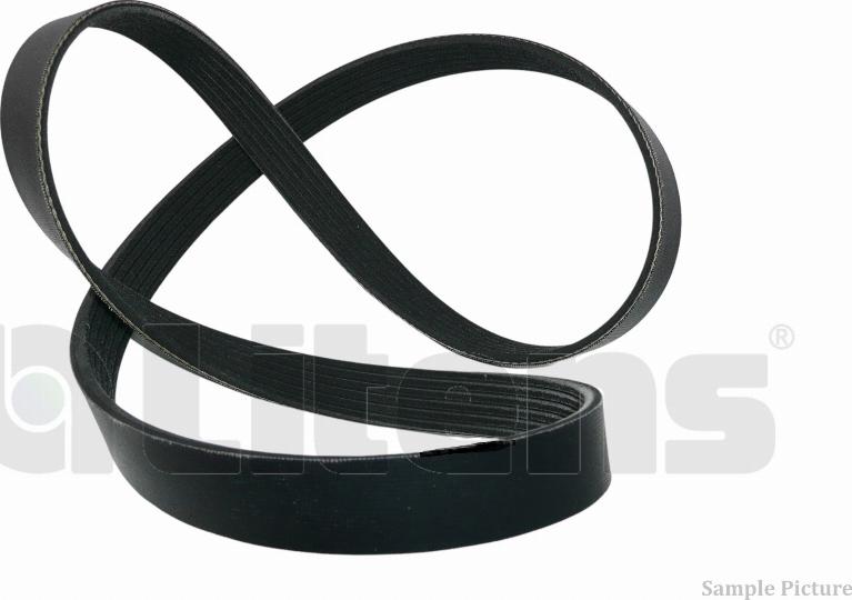 Litens LV6PK1070 - V-Ribbed Belt car-mod.net