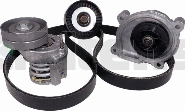 Litens LVW950447A - Water Pump + V-Ribbed Belt Set car-mod.net