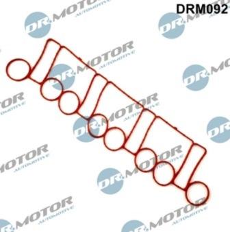 Lizarte DRM092 - Gasket, intake manifold car-mod.net