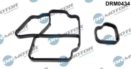 Lizarte DRM0434 - Seal, oil cooler car-mod.net
