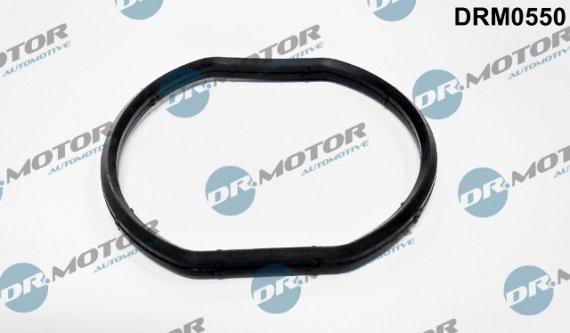 Lizarte DRM0550 - Gasket, thermostat housing car-mod.net