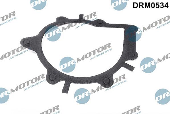 Lizarte DRM0534 - Gasket, water pump car-mod.net