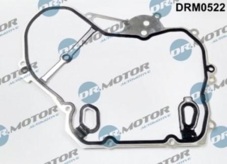Lizarte DRM0522 - Timing Case Gasket, engine timing car-mod.net