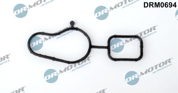 Lizarte DRM0694 - Gasket, water pump car-mod.net