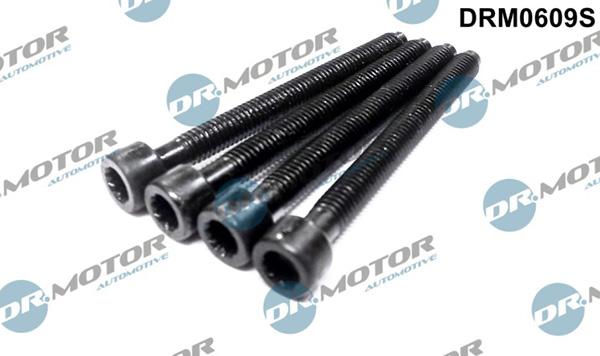 Lizarte DRM0609S - Adjustment Screw, injector pump car-mod.net