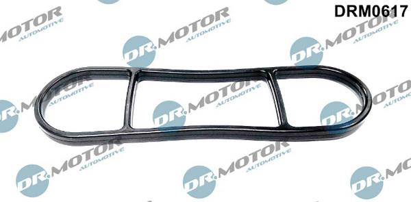 Lizarte DRM0617 - Seal, oil filter housing car-mod.net