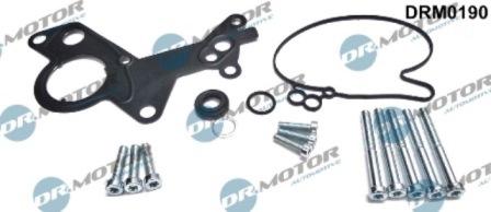 Lizarte DRM0190 - Repair Set, vacuum pump (braking system) car-mod.net