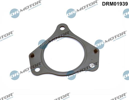 Lizarte DRM01939 - Gasket, exhaust pipe car-mod.net