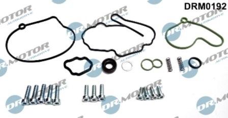 Lizarte DRM0192 - Repair Set, vacuum pump (braking system) car-mod.net