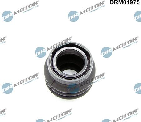 Lizarte DRM01975 - Seal Ring, gearshift linkage car-mod.net
