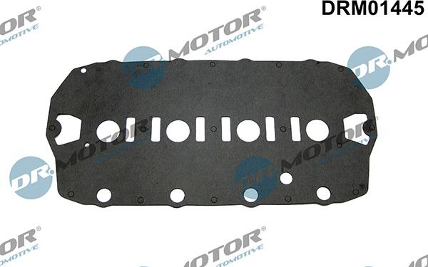 Lizarte DRM01445 - Gasket, cylinder head cover car-mod.net