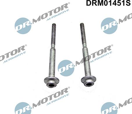 Lizarte DRM01451S - Screw, injection nozzle holder car-mod.net