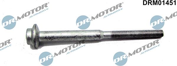 Lizarte DRM01451 - Screw, injection nozzle holder car-mod.net