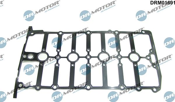 Lizarte DRM01691 - Gasket, cylinder head cover car-mod.net
