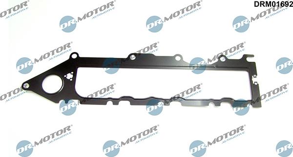 Lizarte DRM01692 - Gasket, intake manifold car-mod.net