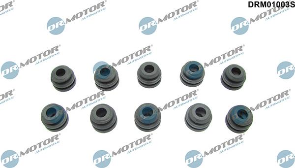 Lizarte DRM01003S - Buffer, engine cover car-mod.net