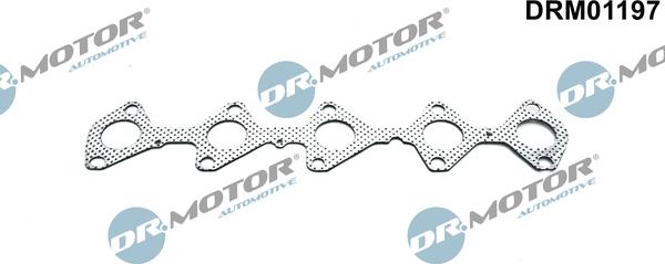 Lizarte DRM01197 - Gasket, exhaust manifold car-mod.net