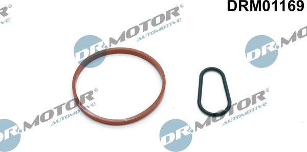 Lizarte DRM01169 - Seal Set, vacuum pump car-mod.net