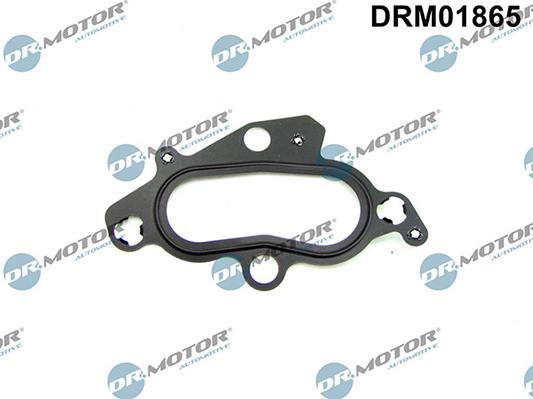 Lizarte DRM01865 - Gasket, thermostat housing car-mod.net