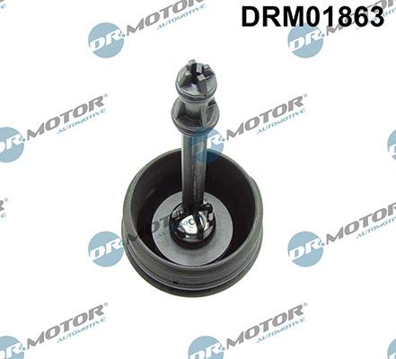 Lizarte DRM01863 - Cap, oil filter housing car-mod.net