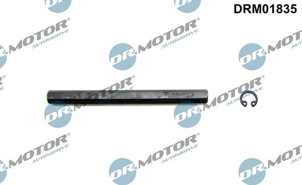 Lizarte DRM01835 - Drive Shaft, oil pump car-mod.net