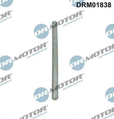Lizarte DRM01838 - Drive Shaft, oil pump car-mod.net