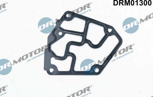 Lizarte DRM01300 - Seal, oil filter housing car-mod.net