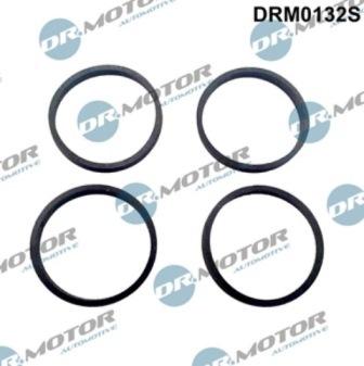 Lizarte DRM0132S - Gasket Set, intake manifold car-mod.net