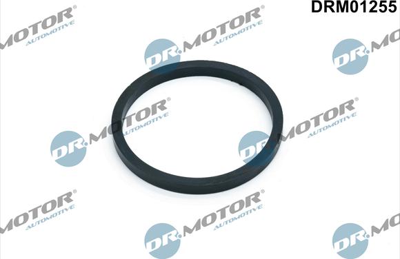 Lizarte DRM01255 - Seal, oil cooler car-mod.net