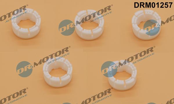 Lizarte DRM01257 - Bush, shift rod car-mod.net