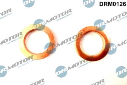 Lizarte DRM0126 - Seal, oil inlet (charger) car-mod.net