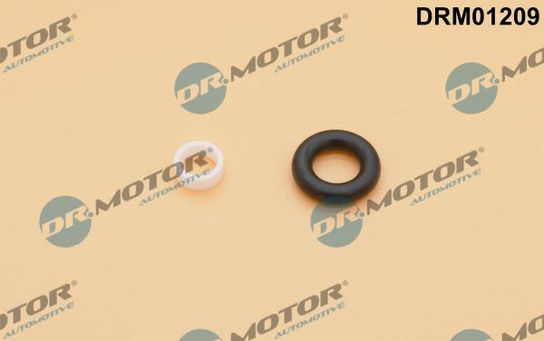 Lizarte DRM01209 - Seal Kit, injector nozzle car-mod.net