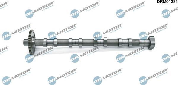 Lizarte DRM01281 - Camshaft car-mod.net