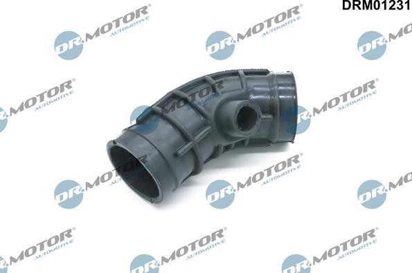 Lizarte DRM01231 - Intake Hose, air filter car-mod.net