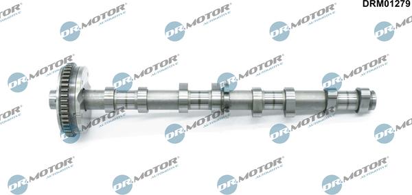 Lizarte DRM01279 - Camshaft car-mod.net